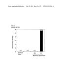 METHOD FOR DETERMINING PRESENCE OR ABSENCE OF CANCER CELL IN BIOLOGICAL     SAMPLE, AND MOLECULAR MARKER AND KIT FOR DETERMINATION diagram and image