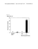 METHOD FOR DETERMINING PRESENCE OR ABSENCE OF CANCER CELL IN BIOLOGICAL     SAMPLE, AND MOLECULAR MARKER AND KIT FOR DETERMINATION diagram and image