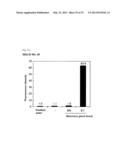 METHOD FOR DETERMINING PRESENCE OR ABSENCE OF CANCER CELL IN BIOLOGICAL     SAMPLE, AND MOLECULAR MARKER AND KIT FOR DETERMINATION diagram and image