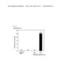 METHOD FOR DETERMINING PRESENCE OR ABSENCE OF CANCER CELL IN BIOLOGICAL     SAMPLE, AND MOLECULAR MARKER AND KIT FOR DETERMINATION diagram and image