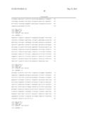 METHOD FOR DETERMINING PRESENCE OR ABSENCE OF CANCER CELL IN BIOLOGICAL     SAMPLE, AND MOLECULAR MARKER AND KIT FOR DETERMINATION diagram and image