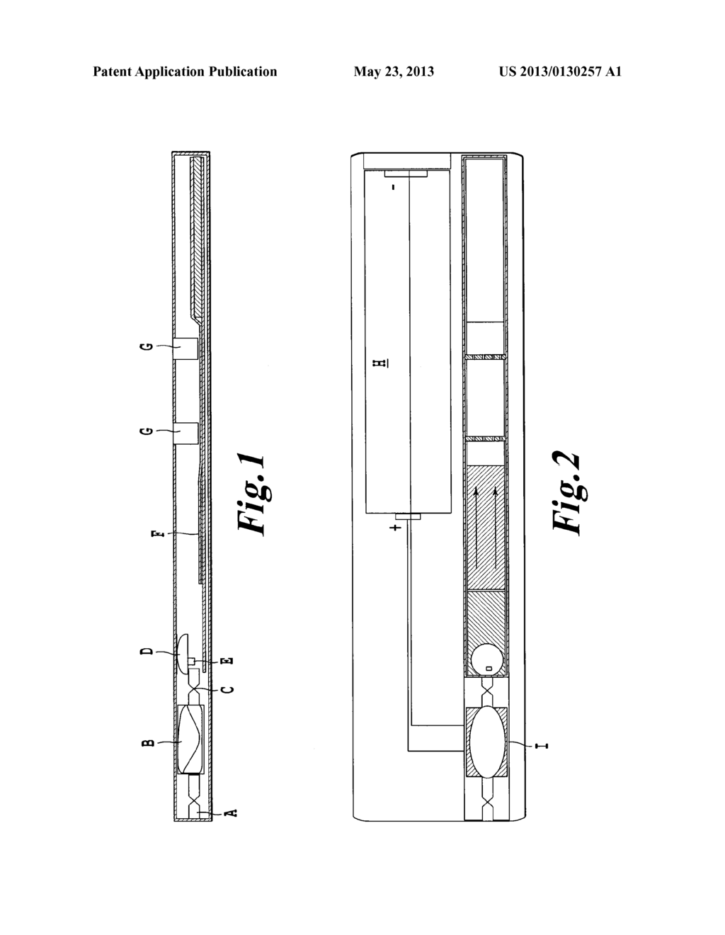 MOBILE RAPID TEST SYSTEM FOR NUCLEIC ACID ANALYSIS - diagram, schematic, and image 02