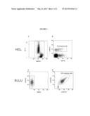 Methods of Detecting BRAF Mutations in Cancer diagram and image