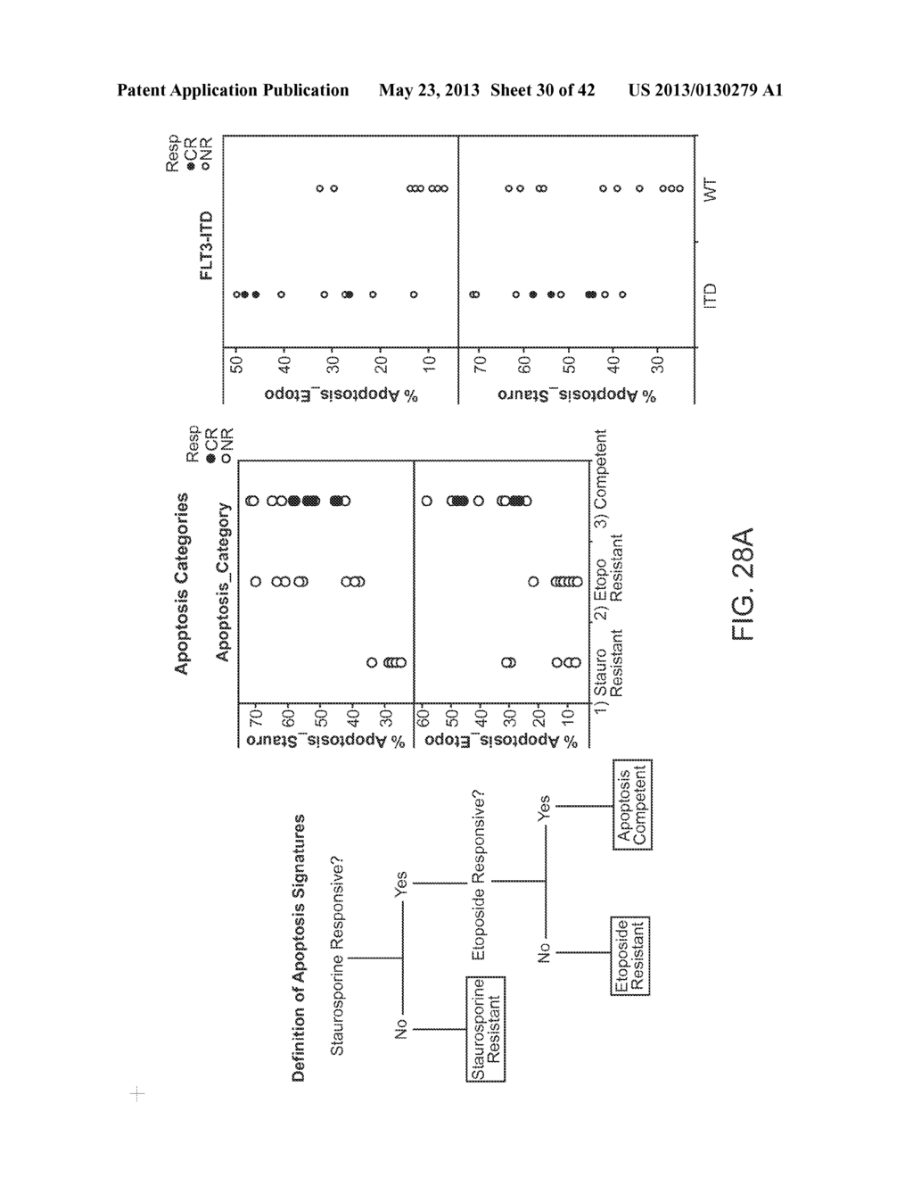 METHODS FOR DIAGNOSIS, PROGNOSIS AND METHODS OF TREATMENT - diagram, schematic, and image 31