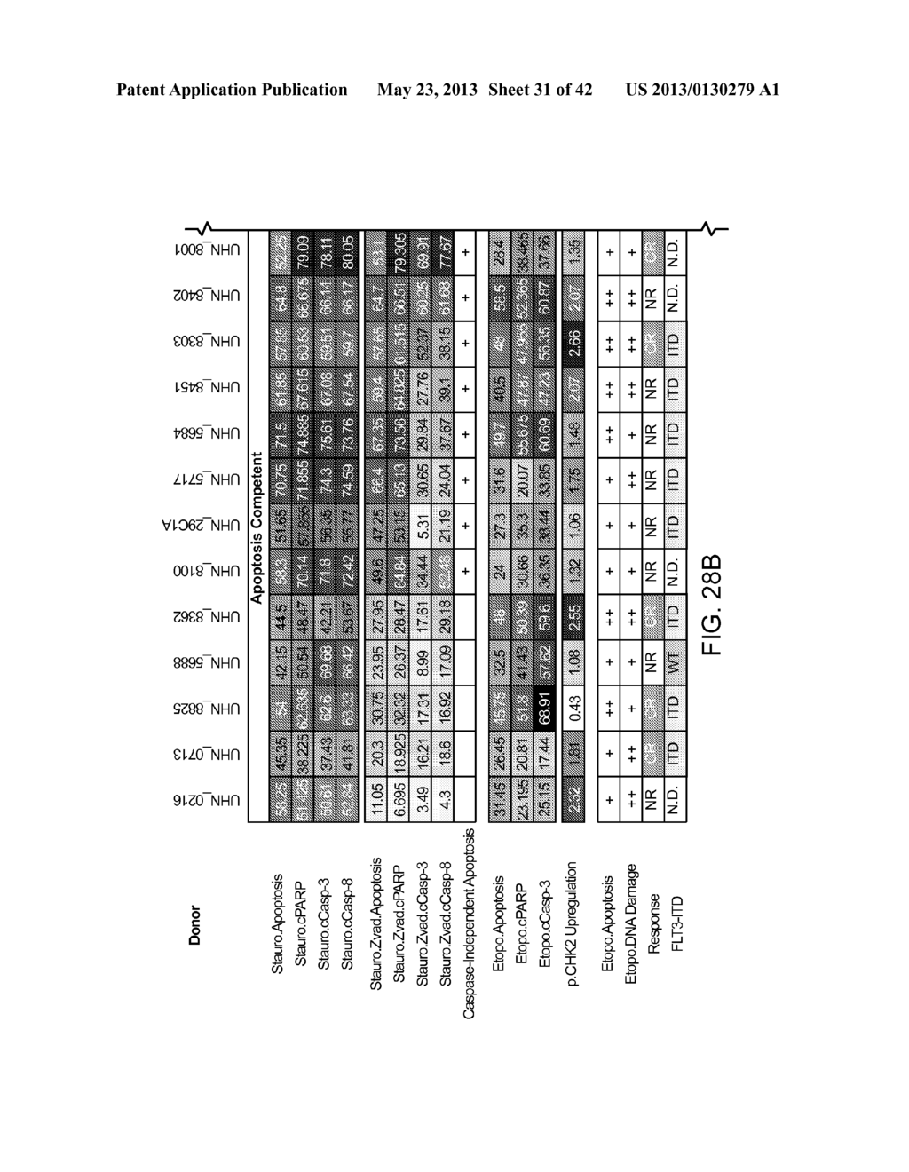 METHODS FOR DIAGNOSIS, PROGNOSIS AND METHODS OF TREATMENT - diagram, schematic, and image 32