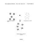 MAGNETIC IMMUNODIAGNOSTIC METHODS AND KIT FOR THE DEMONSTRATION OF     ANTIBODY/ANTIGEN COMPLEXES IN ERYTHROCYTE BLOOD GROUPING AND PHENOTYPING diagram and image