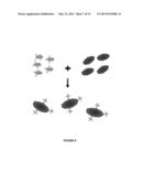 MAGNETIC IMMUNODIAGNOSTIC METHODS AND KIT FOR THE DEMONSTRATION OF     ANTIBODY/ANTIGEN COMPLEXES IN ERYTHROCYTE BLOOD GROUPING AND PHENOTYPING diagram and image