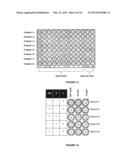 MAGNETIC IMMUNODIAGNOSTIC METHODS AND KIT FOR THE DEMONSTRATION OF     ANTIBODY/ANTIGEN COMPLEXES IN ERYTHROCYTE BLOOD GROUPING AND PHENOTYPING diagram and image