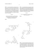 Labelling of Fusion Proteins with Synthetic Probes diagram and image