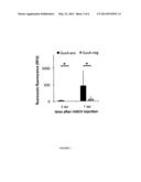 Method for detecting replication or colonization of a biological     therapeutic diagram and image