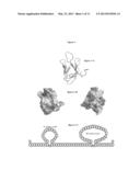 NOVEL METHOD FOR CHARACTERIZING AND MULTI-DIMENSIONALLY REPRESENTING THE     FOLDING PROCESS OF PROTEINS diagram and image