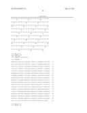 INDUCTION OF A MATURE HEPATOCYTE PHENOTYPE diagram and image