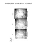 CELL OBSERVATION DEVICE AND CELL OBSERVATION METHOD diagram and image