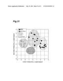 CELL OBSERVATION DEVICE AND CELL OBSERVATION METHOD diagram and image