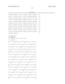 METHODS AND STRAINS FOR THE PRODUCTION OF SARCINAXANTHIN AND DERIVATIVES     THEREOF diagram and image