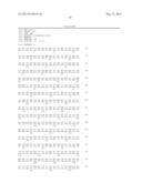 CELLS AND METHODS FOR PRODUCING RHAMNOLIPIDS diagram and image