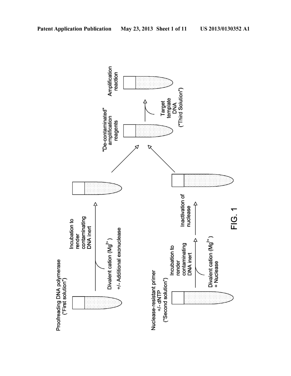 CONTAMINATION-FREE REAGENTS FOR NUCLEIC ACID AMPLIFICATION - diagram, schematic, and image 02