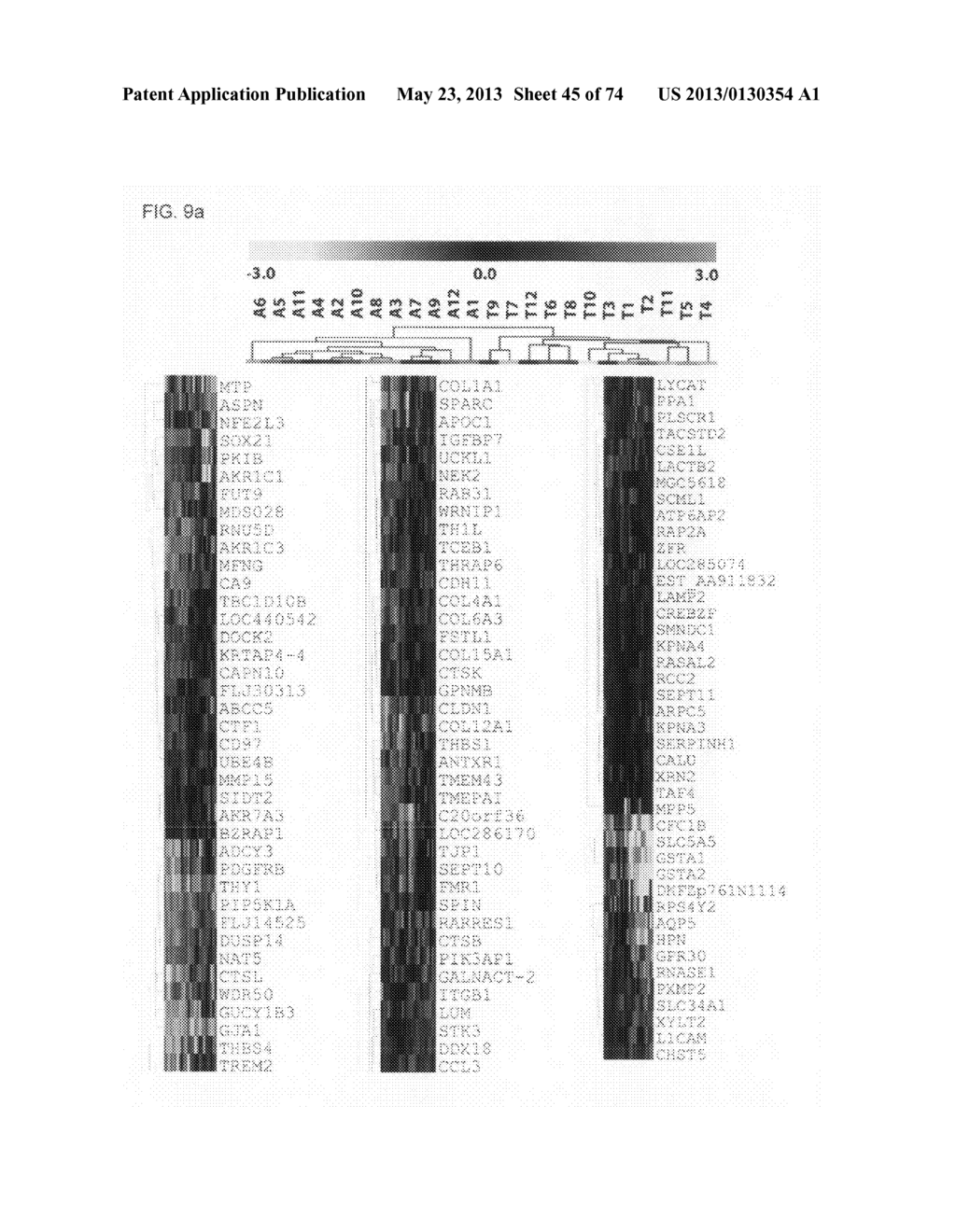 Novel genes and uses thereof, expression profile of colon, gastric and     pancreatic cancer - diagram, schematic, and image 46