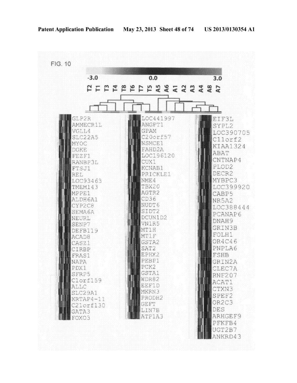 Novel genes and uses thereof, expression profile of colon, gastric and     pancreatic cancer - diagram, schematic, and image 49