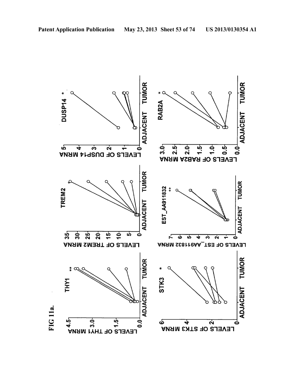 Novel genes and uses thereof, expression profile of colon, gastric and     pancreatic cancer - diagram, schematic, and image 54