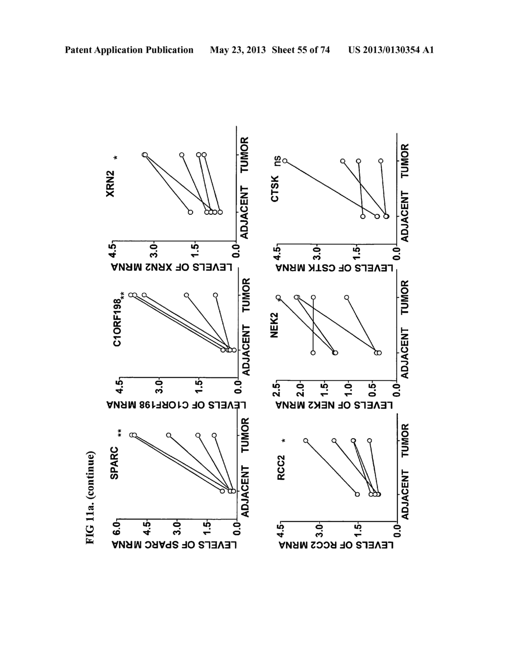 Novel genes and uses thereof, expression profile of colon, gastric and     pancreatic cancer - diagram, schematic, and image 56