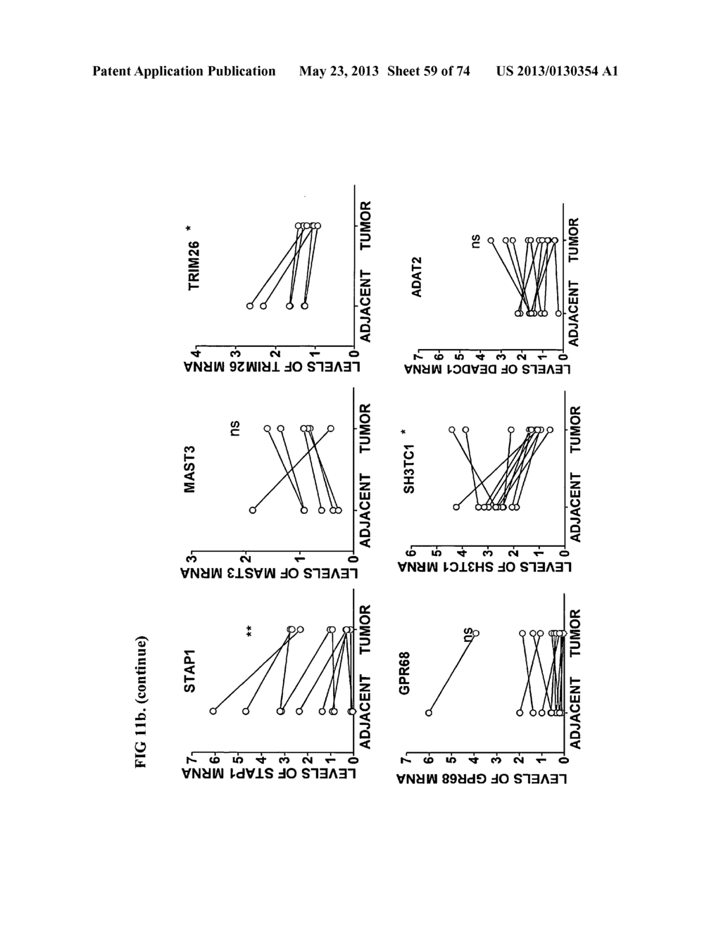 Novel genes and uses thereof, expression profile of colon, gastric and     pancreatic cancer - diagram, schematic, and image 60