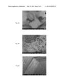 ULTRAHIGH SURFACE AREA SUPPORTS FOR NANOMATERIAL ATTACHMENT diagram and image