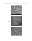 ULTRAHIGH SURFACE AREA SUPPORTS FOR NANOMATERIAL ATTACHMENT diagram and image
