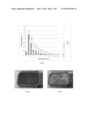 ULTRAHIGH SURFACE AREA SUPPORTS FOR NANOMATERIAL ATTACHMENT diagram and image