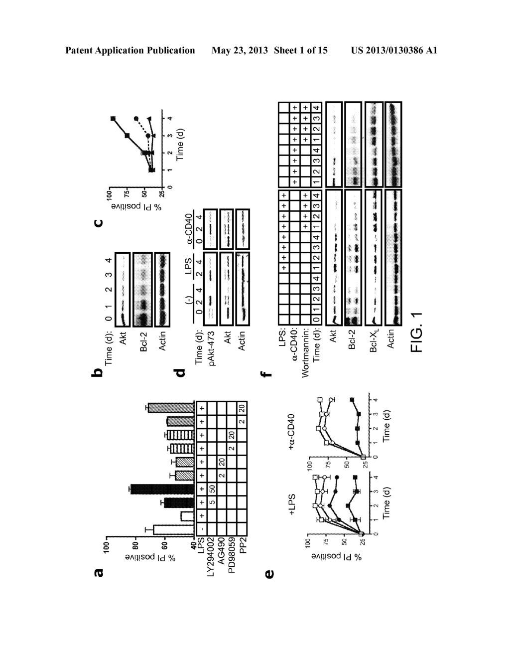 MODIFIED DENDRITIC CELLS HAVING ENHANCED SURVIVAL AND IMMUNOGENICITY AND     RELATED COMPOSITIONS AND METHODS - diagram, schematic, and image 02