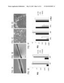 METHOD FOR GENERATING INDUCED PLURIPOTENT STEM CELLS FROM KERATINOCYTES     DERIVED FROM PLUCKED HAIR FOLLICLES diagram and image