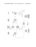 HIGH PRODUCTIVITY COMBINATORIAL WORKFLOW FOR PHOTORESIST STRIP     APPLICATIONS diagram and image