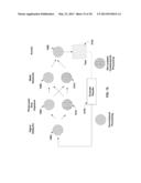 HIGH PRODUCTIVITY COMBINATORIAL WORKFLOW FOR PHOTORESIST STRIP     APPLICATIONS diagram and image