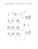 HIGH PRODUCTIVITY COMBINATORIAL WORKFLOW FOR PHOTORESIST STRIP     APPLICATIONS diagram and image