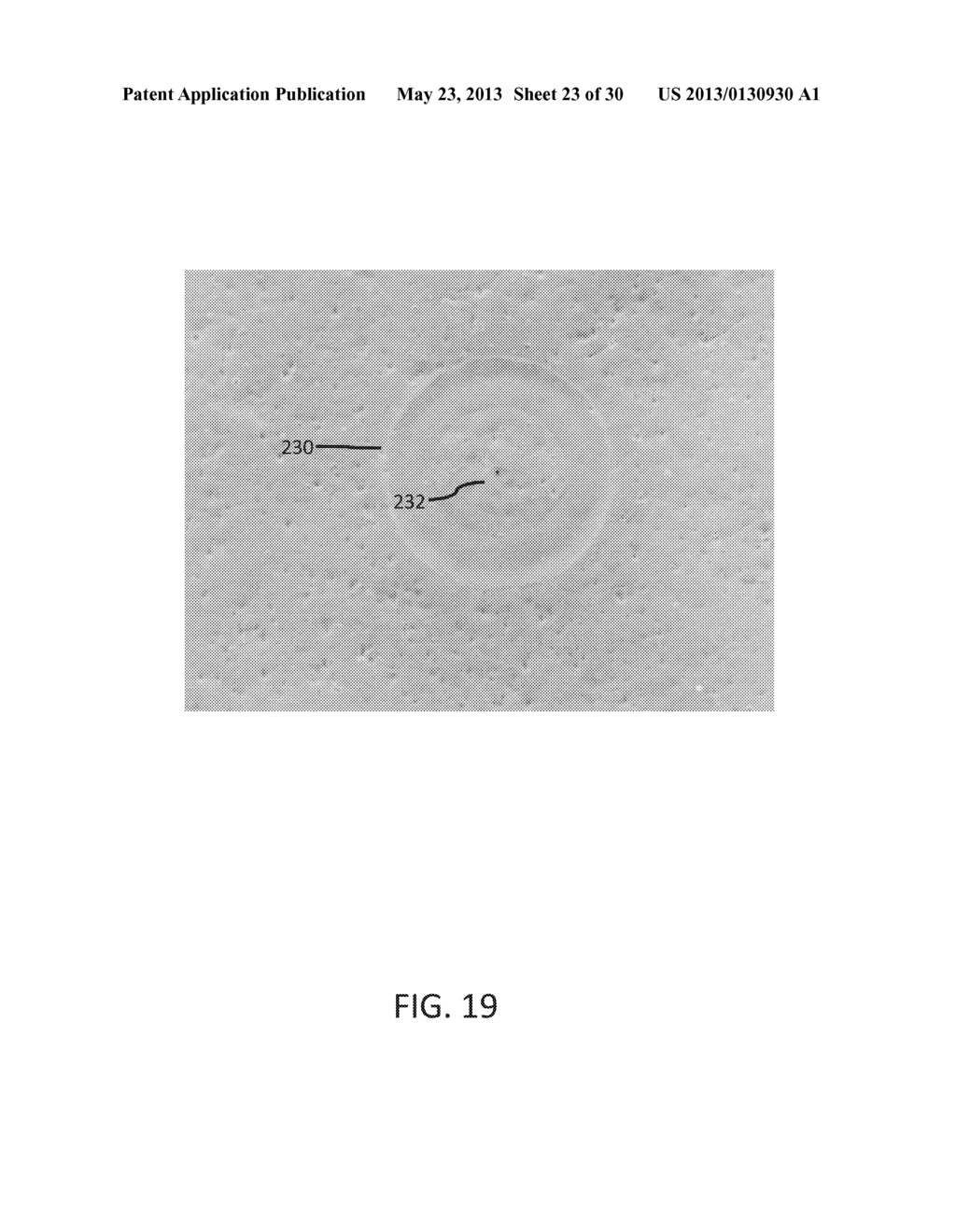 METHODS AND DEVICES FOR OBTAINING AND ANALYZING CELLS - diagram, schematic, and image 24