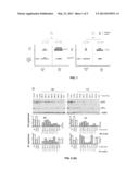 BIOMARKER FOR THE DIAGNOSIS, PROGNOSIS AND MONITORING OF CANCER diagram and image