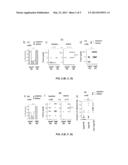 BIOMARKER FOR THE DIAGNOSIS, PROGNOSIS AND MONITORING OF CANCER diagram and image