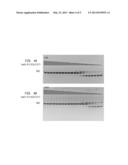 High Fidelity Restriction Endonucleases diagram and image