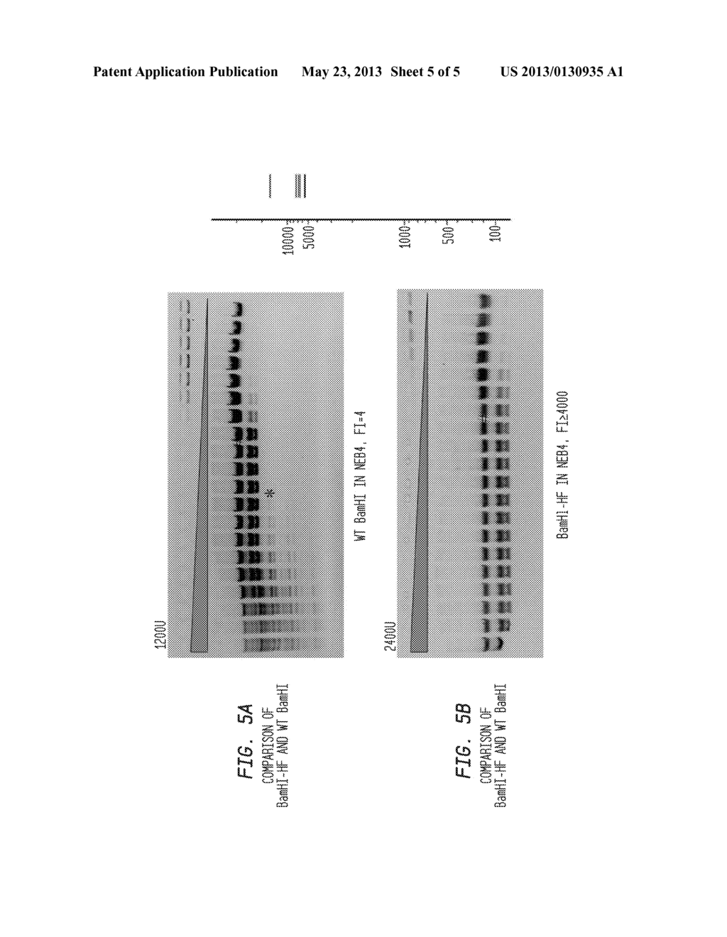 High Fidelity Restriction Endonucleases - diagram, schematic, and image 06