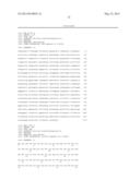 High Fidelity Restriction Endonucleases diagram and image