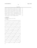 High Fidelity Restriction Endonucleases diagram and image