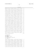 High Fidelity Restriction Endonucleases diagram and image