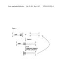 OLIGONUCLEOTIDE LIBRARY ENCODING RANDOMISED PEPTIDES diagram and image