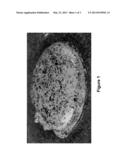 Dissipative Surfactant Aqueous-Based Drilling System for Use in     Hydrocarbon Recovery Operations from Heavy Oil and Tar Sands diagram and image