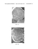 POLYMER-BASED SUSTAINED RELEASE DEVICE diagram and image