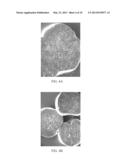 POLYMER-BASED SUSTAINED RELEASE DEVICE diagram and image