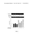 METHOD OF TREATING ENDOTHELIAL DYSFUNCTION diagram and image