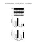 METHOD OF TREATING ENDOTHELIAL DYSFUNCTION diagram and image