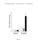 METHOD OF TREATING ENDOTHELIAL DYSFUNCTION diagram and image