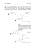 PEPTIDES THAT BIND TO THE ERYTHROPOIETIN RECEPTOR diagram and image